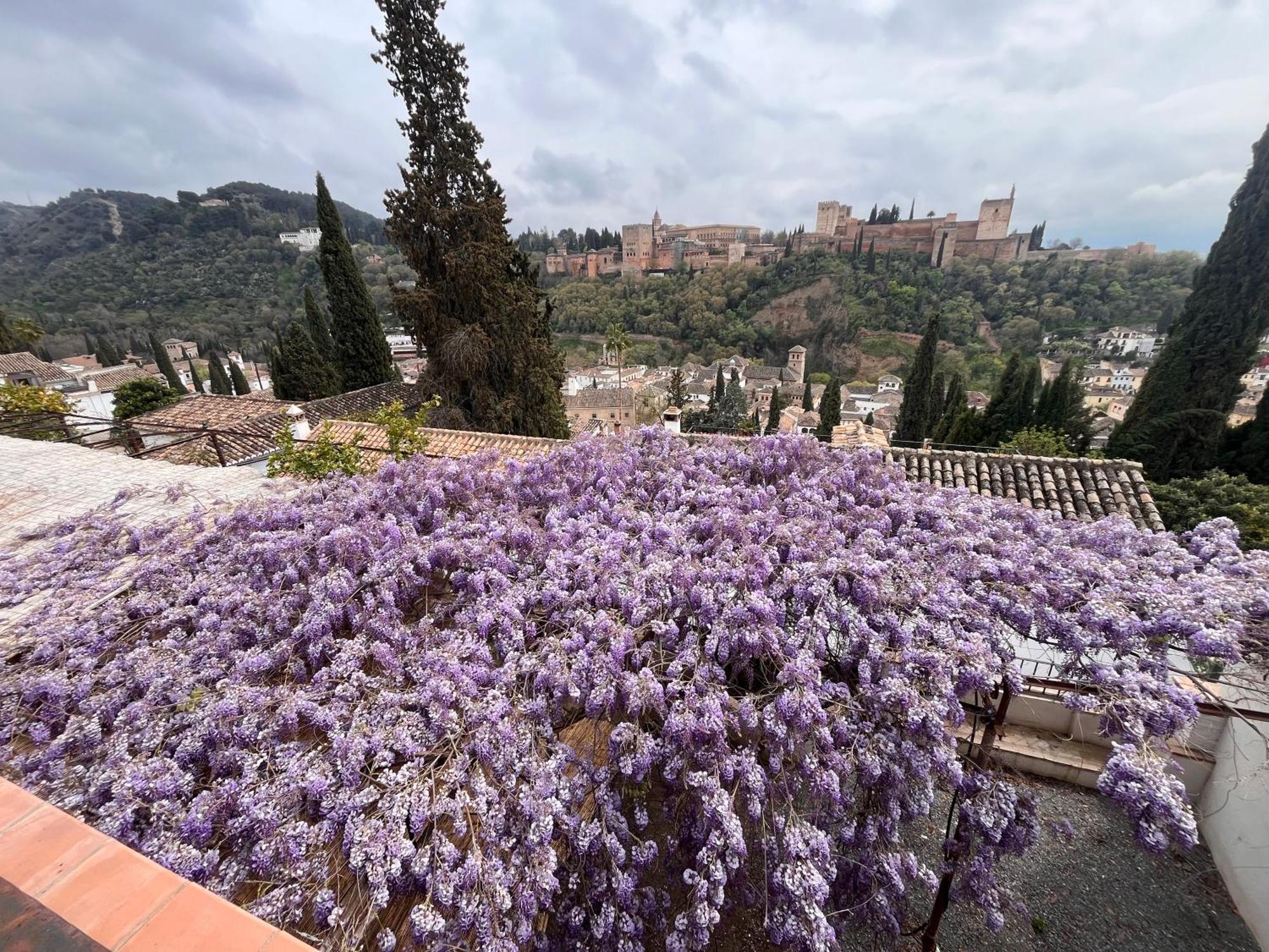 La Casa Juan Ranas Bed and Breakfast Γρανάδα Εξωτερικό φωτογραφία